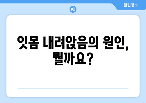 잇몸 내려앉음, 칼프디마 영양제가 도움이 될까요? | 잇몸 건강, 영양제 추천, 잇몸 내려앉음 원인