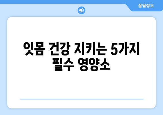 잇몸 출혈 완화에 도움 되는 영양제 5가지 | 잇몸 건강, 잇몸 질환, 영양 보충, 건강 정보