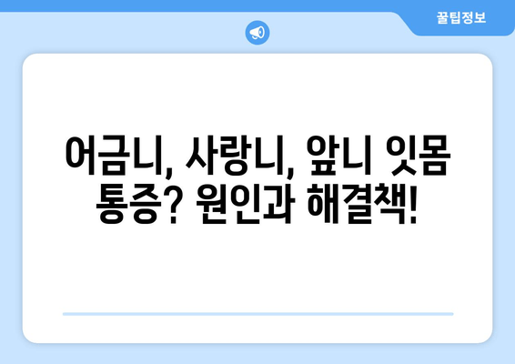 잇몸 통증, 이제 걱정 끝! 어금니, 사랑니, 앞니 잇몸 통증 예방 꿀팁 | 잇몸 건강, 치아 관리, 구강 관리