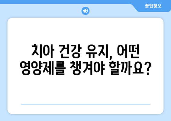 잇몸과 치아 건강 지키는 영양제 가이드 | 잇몸, 치아, 건강, 영양