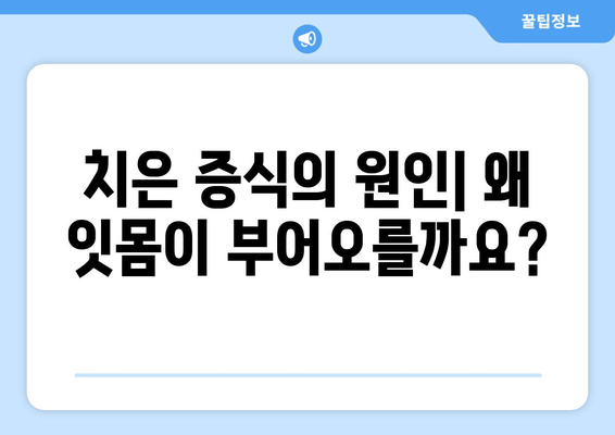 치은 증식이 치주 질환에 미치는 영향| 원인, 증상, 치료법 | 치주염, 잇몸 질환, 치과 건강