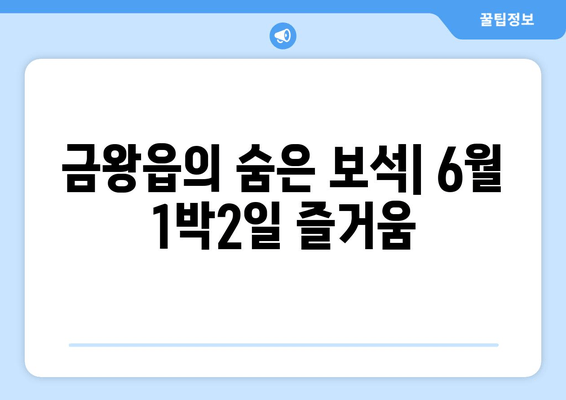 금왕읍의 숨은 보석| 6월 1박2일 즐거움