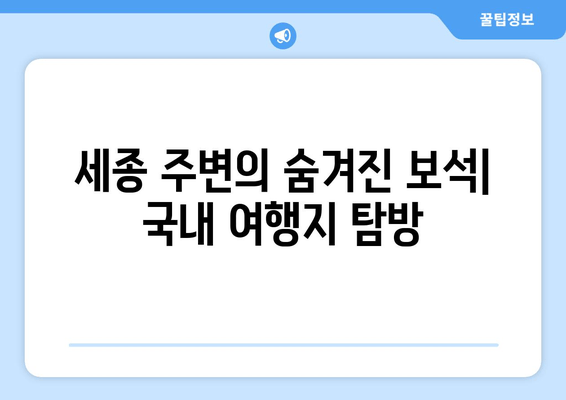 세종 주변의 숨겨진 보석| 국내 여행지 탐방