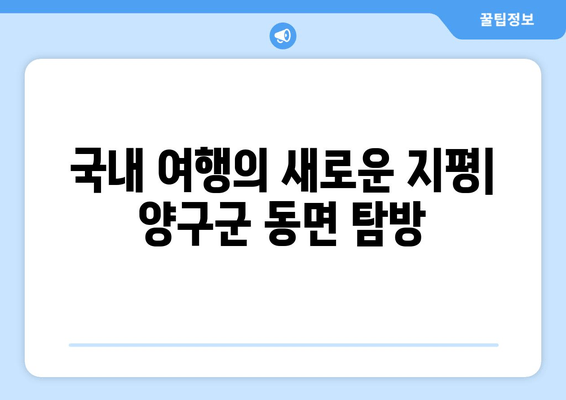 국내 여행의 새로운 지평| 양구군 동면 탐방