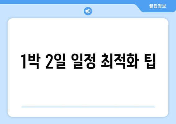 1박 2일 일정 최적화 팁