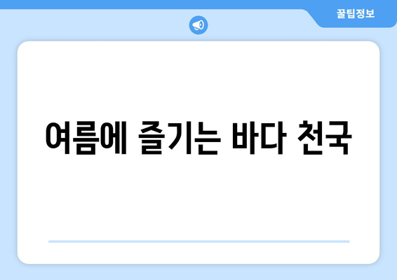 여름에 즐기는 바다 천국