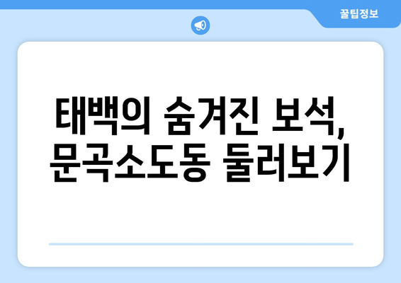 태백의 숨겨진 보석, 문곡소도동 둘러보기