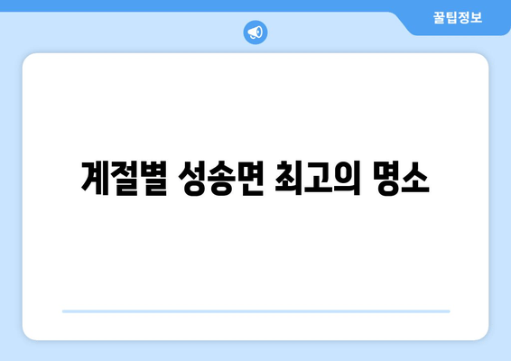 계절별 성송면 최고의 명소