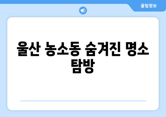 울산 농소동 숨겨진 명소 탐방