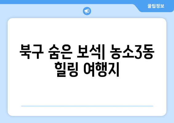 북구 숨은 보석| 농소3동 힐링 여행지