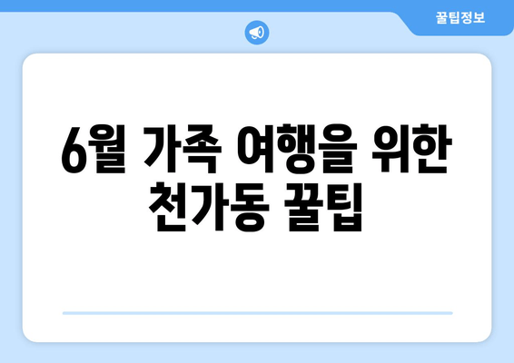 6월 가족 여행을 위한 천가동 꿀팁