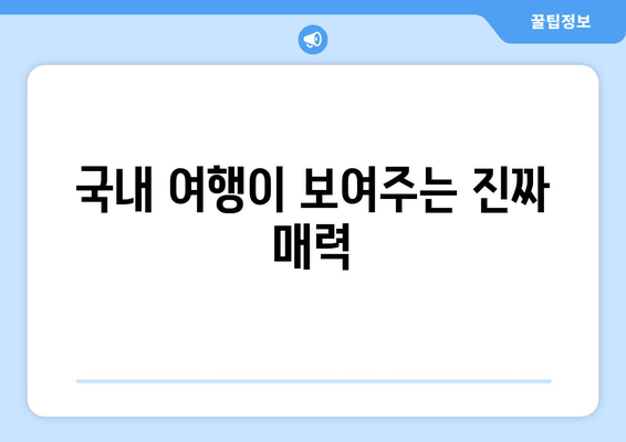 국내 여행이 보여주는 진짜 매력