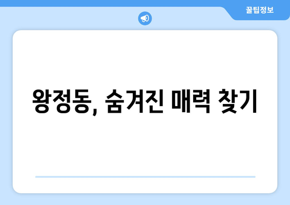 왕정동, 숨겨진 매력 찾기