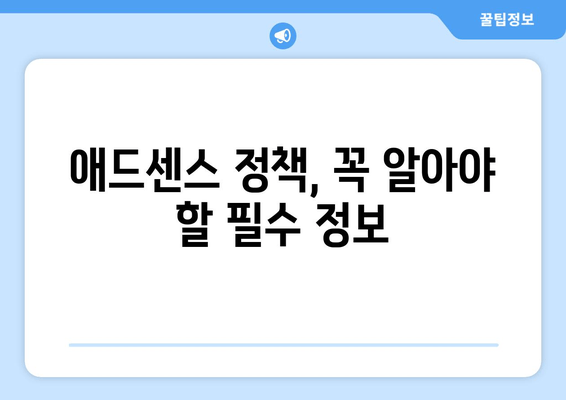 애드센스 수익 극대화 전략| 필수 고려 사항 및 최적화 가이드 | 수익 증대를 위한 단계별 전략