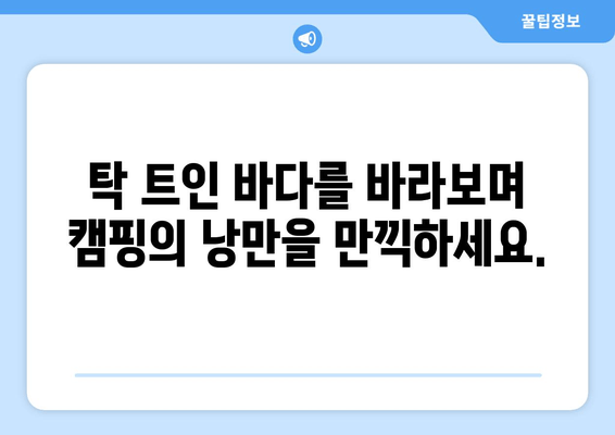 거제도 자연 속 캠핑 명소 추천| 생각속의 집에서 힐링하세요! | 거제도 캠핑, 캠핑 명소, 자연 힐링