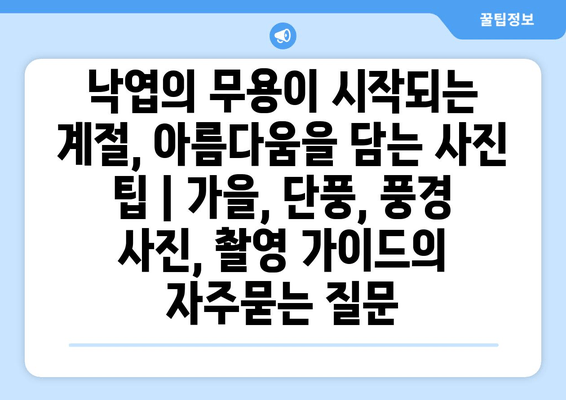 낙엽의 무용이 시작되는 계절, 아름다움을 담는 사진 팁 | 가을, 단풍, 풍경 사진, 촬영 가이드