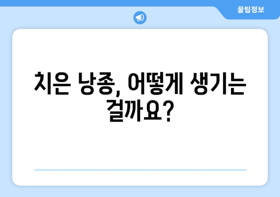 치은 낭종| 알아두면 안심, 치료와 예방, 그리고 관리까지 | 치주질환, 잇몸 질환, 낭종