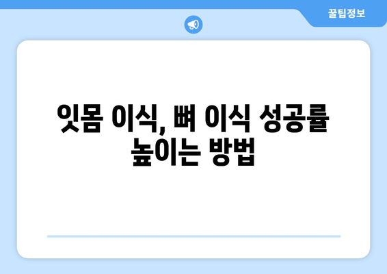 잇몸 이식 수술 전, 뼈 상태는 필수 체크! | 잇몸 이식, 뼈 이식, 수술 전 검사, 성공적인 이식