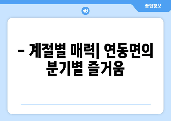 - 계절별 매력| 연동면의 분기별 즐거움