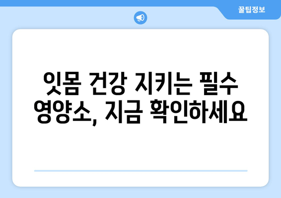 잇몸내려앉음 퇴치! 영양제로 되찾는 건강한 미소 | 잇몸 건강, 영양제 추천, 잇몸 퇴축 방지