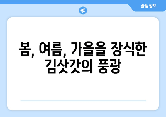 봄, 여름, 가을을 장식한 김삿갓의 풍광