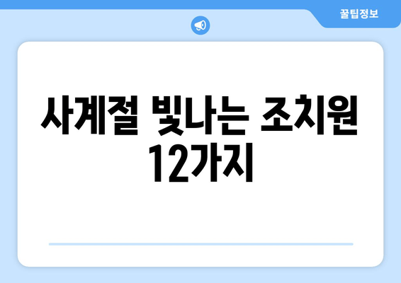 사계절 빛나는 조치원 12가지