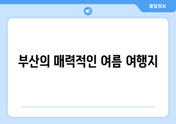 부산의 매력적인 여름 여행지