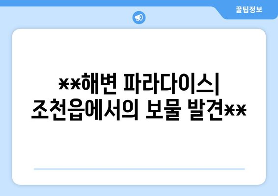 **해변 파라다이스| 조천읍에서의 보물 발견**