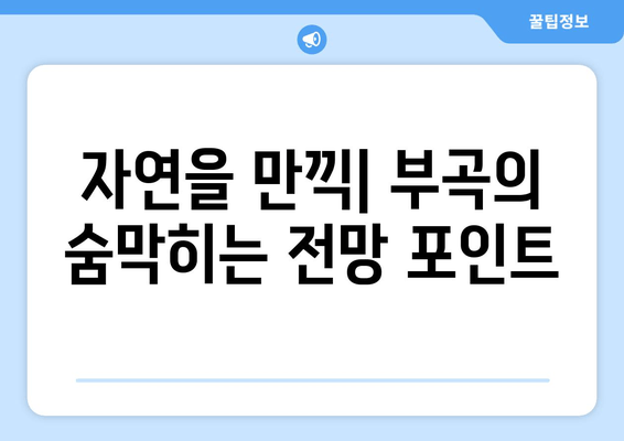 자연을 만끽| 부곡의 숨막히는 전망 포인트