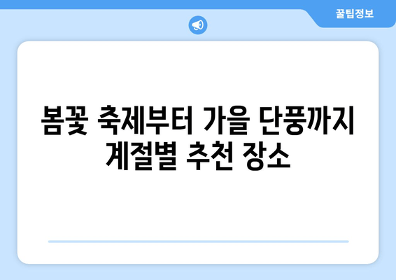 봄꽃 축제부터 가을 단풍까지 계절별 추천 장소