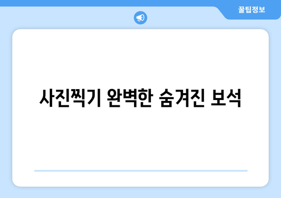 사진찍기 완벽한 숨겨진 보석