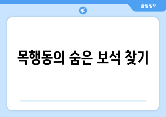 목행동의 숨은 보석 찾기