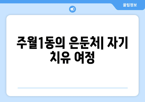 주월1동의 은둔처| 자기 치유 여정