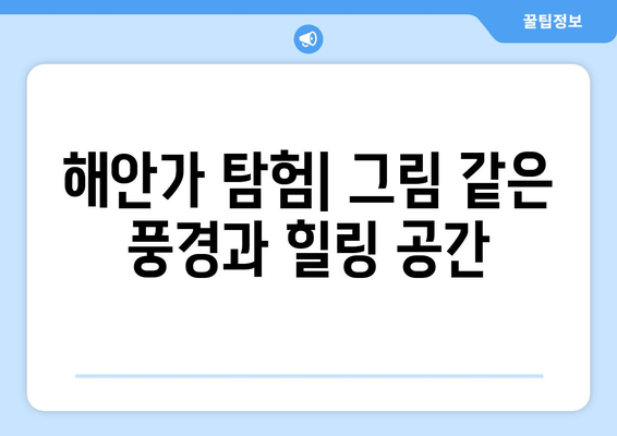 해안가 탐험| 그림 같은 풍경과 힐링 공간