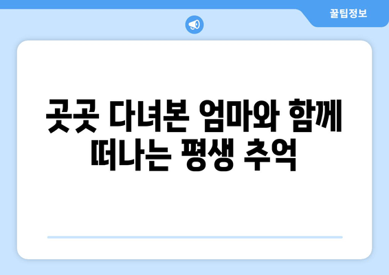 곳곳 다녀본 엄마와 함께 떠나는 평생 추억