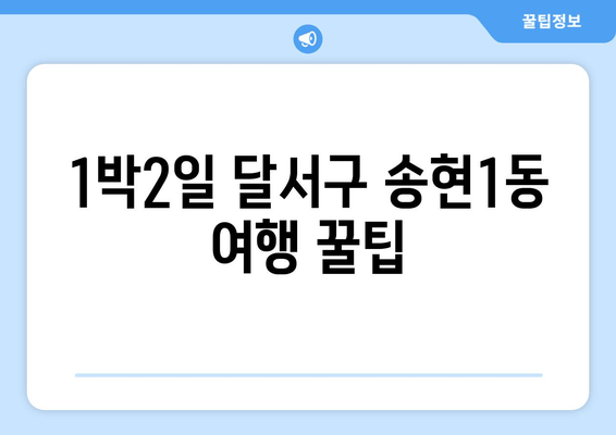 1박2일 달서구 송현1동 여행 꿀팁