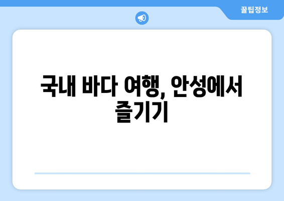 국내 바다 여행, 안성에서 즐기기