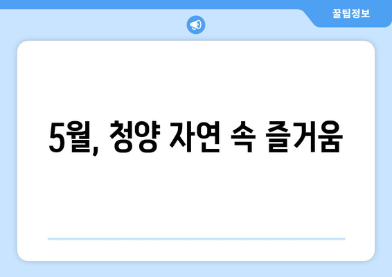 5월, 청양 자연 속 즐거움