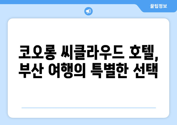 부산 해운대 코오롱 씨클라우드 호텔에서 즐기는 멋진 도시 경관 | 부산 호텔 추천, 탁 트인 전망, 럭셔리 숙박