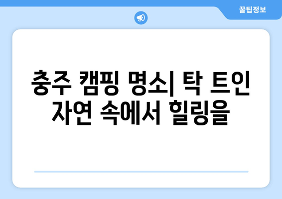 충주 캠핑 가이드| 자연 속 힐링, 맛집 & 관광 코스 추천 | 충주 캠핑 명소, 즐길 거리, 숙소 정보