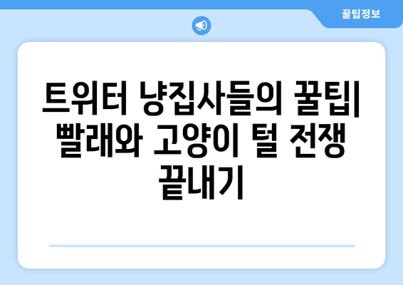 고양이와 빨래, 트위터에서 공유된 꿀팁 모음 | 고양이 털 제거, 빨래 팁, 고양이와 함께하는 삶