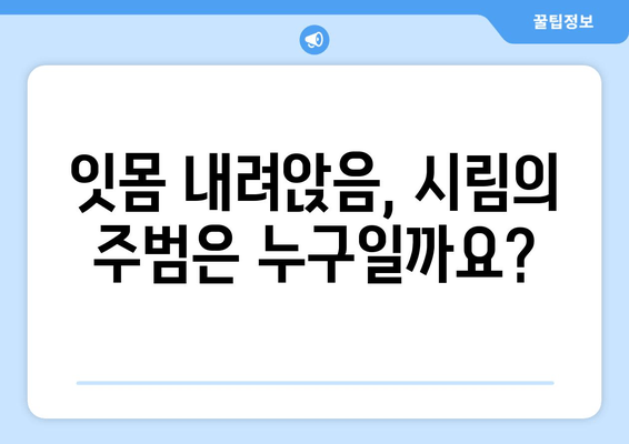 잇몸 내려앉음, 시림의 원인을 파헤치다 | 잇몸 질환, 치아 시림, 원인 분석, 해결 방안