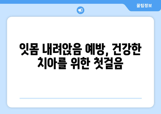 잇몸 내려앉음 예방| 지금부터 시작해야 할 5가지 습관 | 잇몸 건강, 치주 질환, 치아 관리