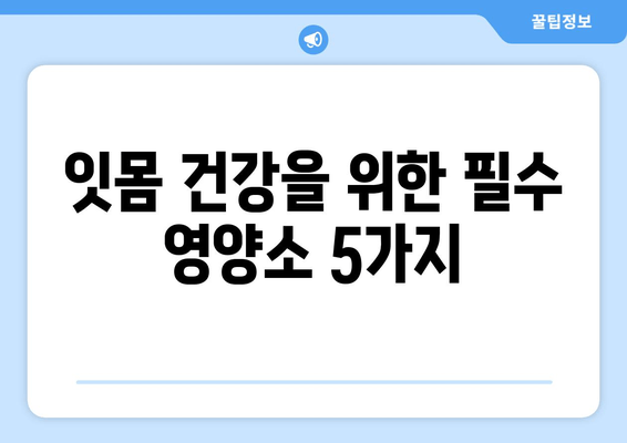 건강한 치은 유지, 꼭 필요한 영양제 5가지 | 치주 건강, 잇몸 관리, 영양 보충