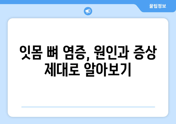 잇몸 뼈 염증 증상과 치료| 원인, 진단, 치료법 총정리 | 치주염, 잇몸 질환, 뼈 이식, 치과 치료