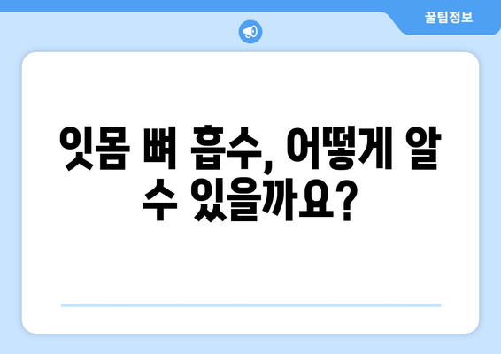 잇몸 뼈 흡수, 증상과 치료 방법 알아보기 | 잇몸 질환, 치주염, 임플란트