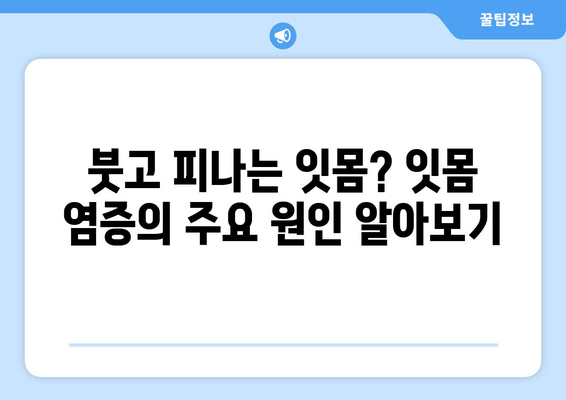 잇몸 염증, 원인부터 해결까지| 붓고 피나는 잇몸, 이제는 안녕! | 치주염, 잇몸 관리, 잇몸 건강