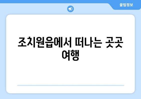 조치원읍에서 떠나는 곳곳 여행