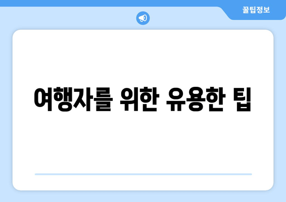 여행자를 위한 유용한 팁