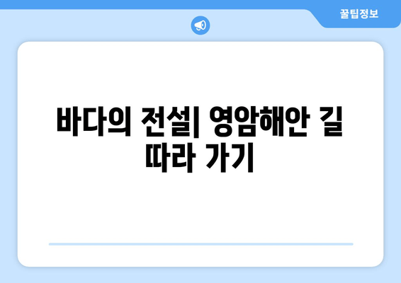 바다의 전설| 영암해안 길 따라 가기